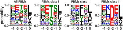 Interactions of the protein tyrosine phosphatase PTPN3 with viral and cellular partners through its PDZ domain: insights into structural determinants and phosphatase activity